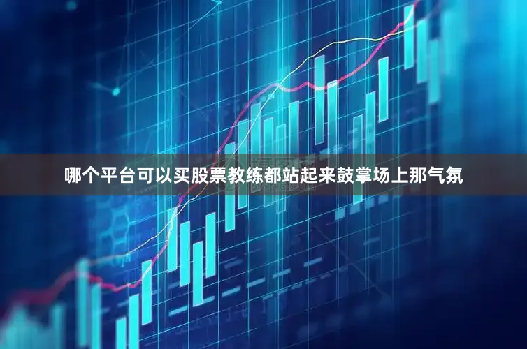 哪个平台可以买股票教练都站起来鼓掌场上那气氛